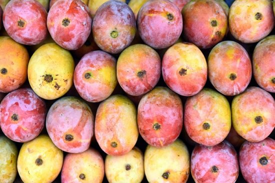 Best Mango Variety in India 13