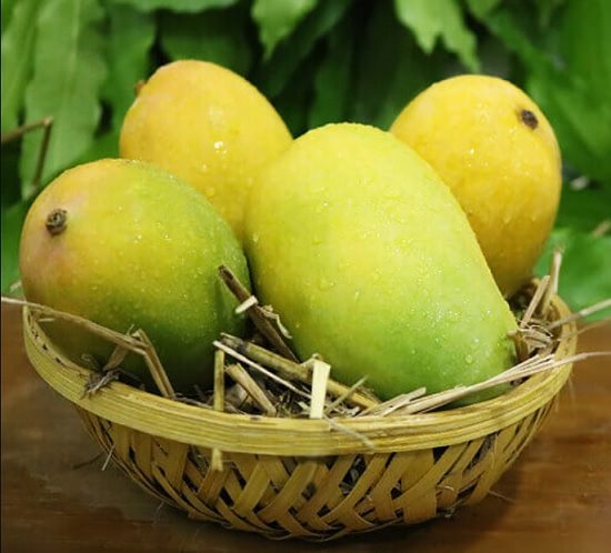 Best Mango Variety In India 3