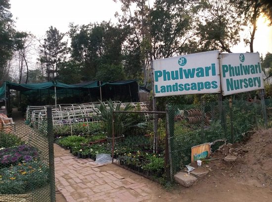 chandigarh plant nursery