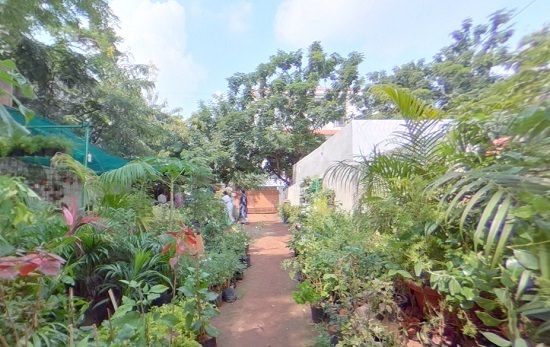 plant nursery in hyedrabad