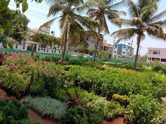 best plant nursery in mysore