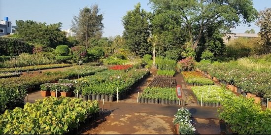 best plant nursery in nashik