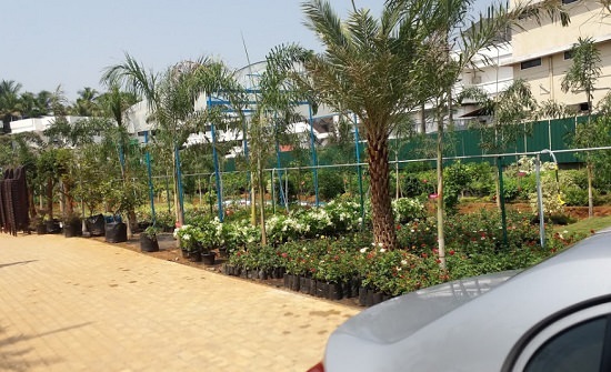 best plant nursery in thrissur