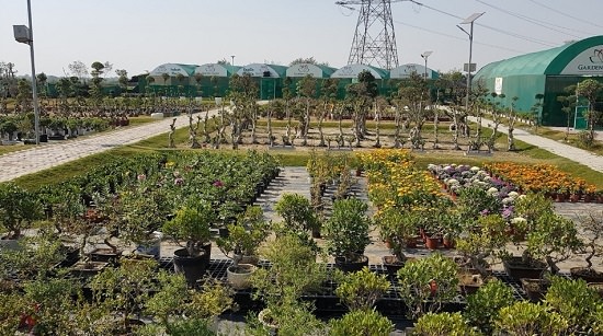 Best Plant nursery in Noida