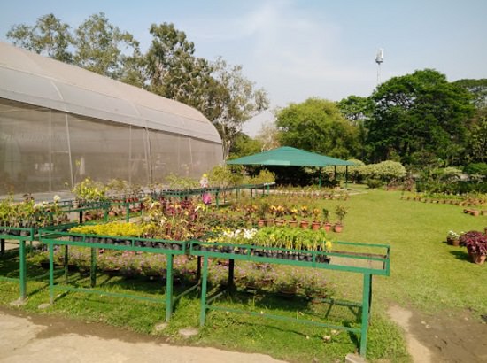 Best Plant Nursery in Jamshedpur