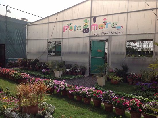 best plant nursery in faridabad