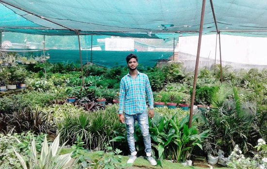 Best Plant Nursery in Jaunpur you can visit right now
