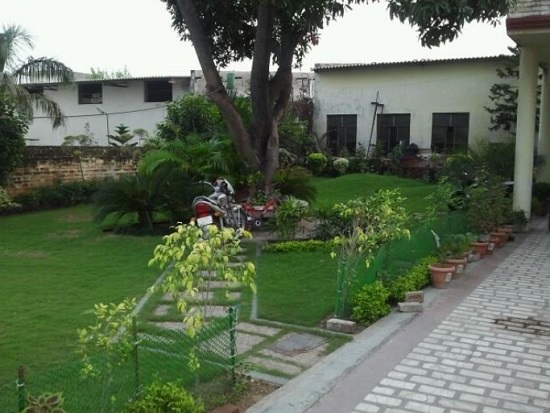 Best Plant Nursery in Ludhiana to take services from 