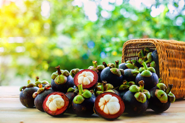 Does Mangosteen Grow in India