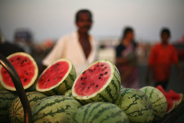 Best Summer Fruits in India