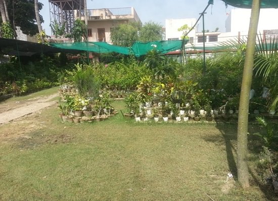 plant nursery in varanasi