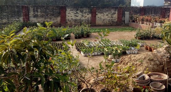 Best Plant Nursery in Varanasi