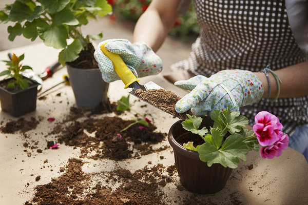 How to Make Potting Soil at Home in India easily without any fuss