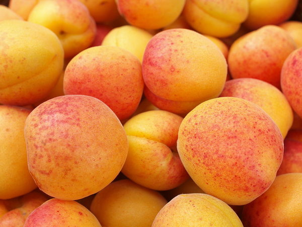 Best Summer Fruits in India that you can suggest 