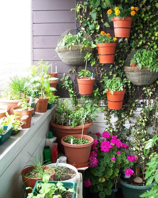 20 Beautiful Indian Balcony Garden Ideas • India Gardening 