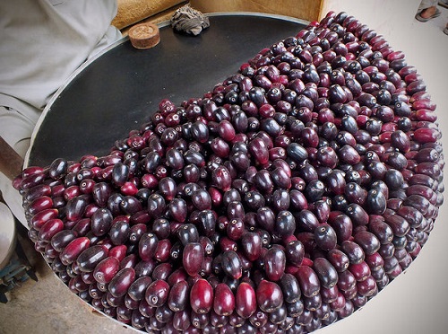 best Types of Berries in India