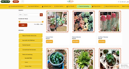 How to buy Succulent Plants Online in India 5