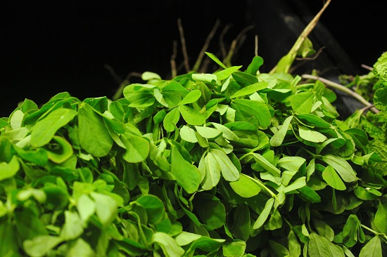How to Grow Methi in Water