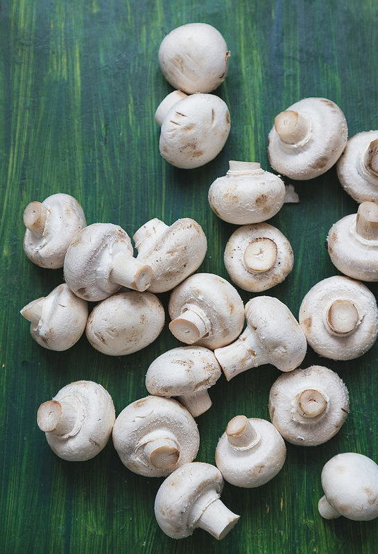 Types of Mushroom in India
