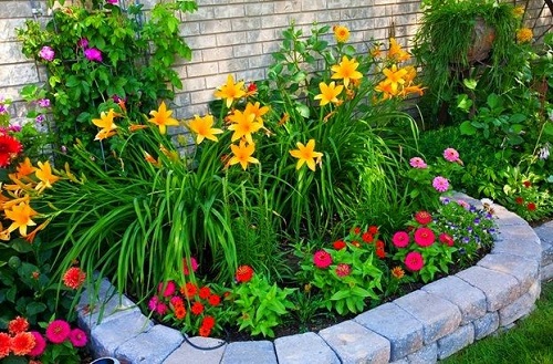 Top Tips for Flower Gardening 2
