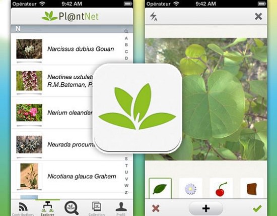 Best Plant Identification App in India
