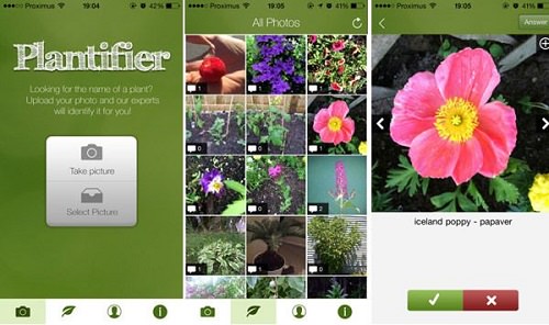 Best Plant Identification App in India 2