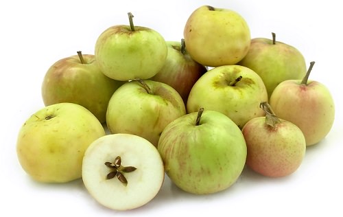  Best Apple Varieties in India