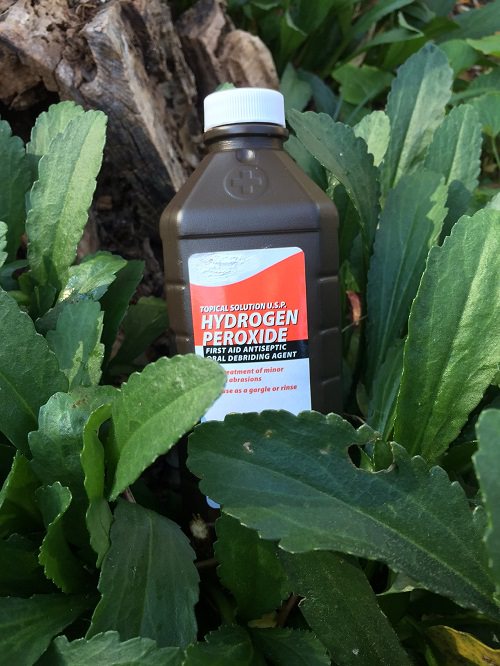 Hydrogen Peroxide Uses in the Garden