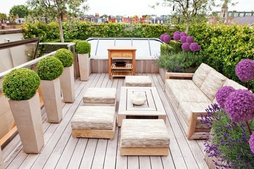 Terrace Garden Ideas 6