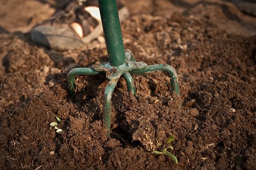 Gardening Tips Your Mali Won't Tell You 7
