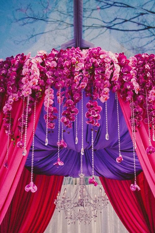 Flowers Used in Social and Cultural Celebrations in India 4