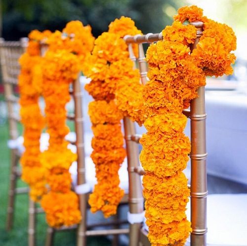 Flowers Used in Social and Cultural Celebrations in India
