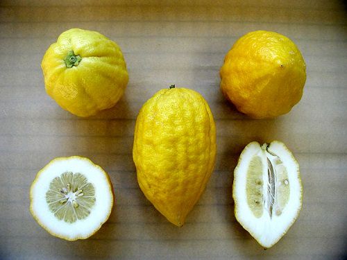 Benefits of Bijora Fruit 