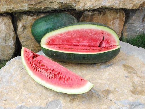 High Yielding Watermelon Varieties in India 3