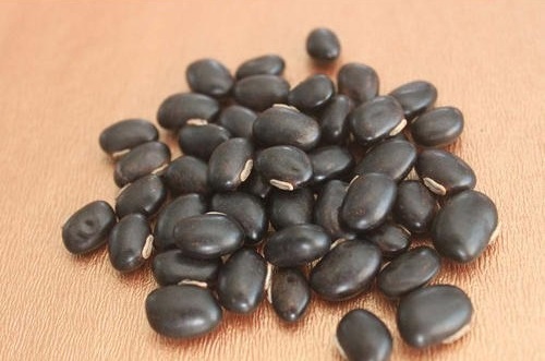 Types of Beans in India 7