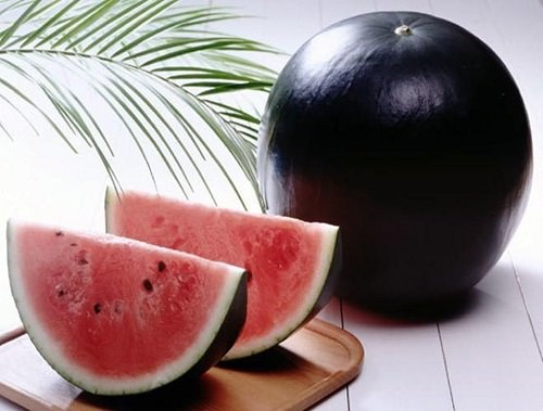 High Yielding Watermelon Varieties in India 4