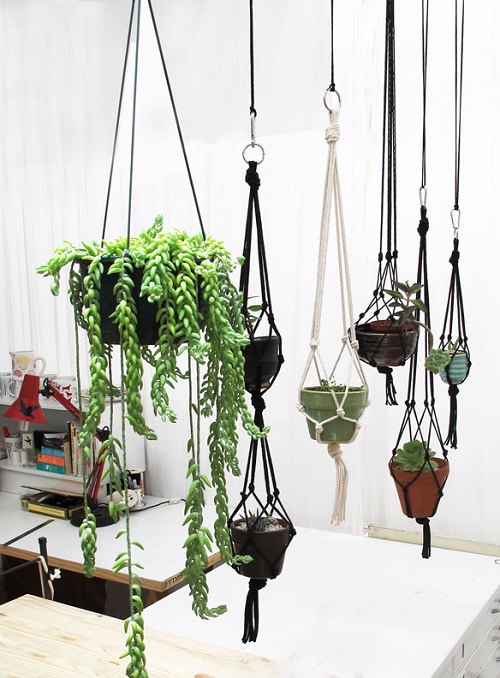 Indoor Succulent Garden Ideas 7