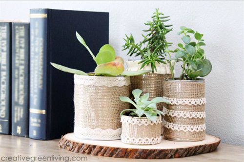 Succulent Indoor Planter Ideas 13