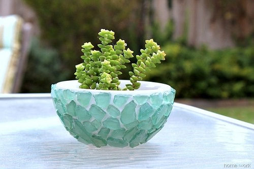Succulent in a Glass Bowl 7