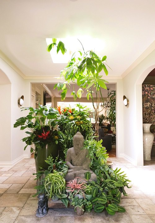 How to Make an Indoor Meditation Garden