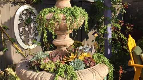 Succulent Fountain Ideas 4