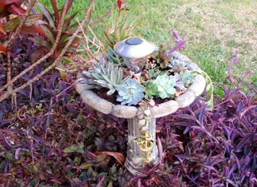 Succulent Fountain Ideas 5