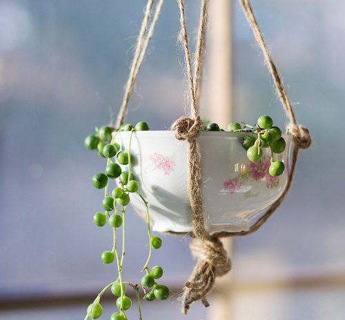 12 Awesomely Creative DIY Mini Teacup Gardens and Planters
