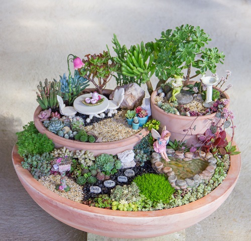 Mini Succulent Gardens for Small Spaces 5