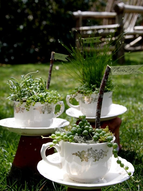 DIY Mini Teacup Gardens and Planters 4