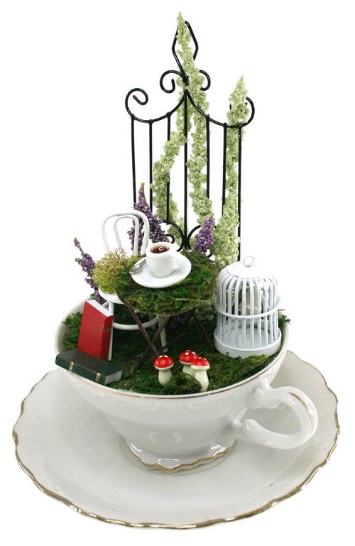 Miniature Garden in a Teacup