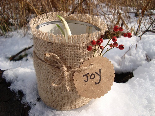 DIY Christmas Plant Gift Projects 2