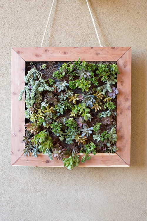 Mini Succulent Gardens for Small Spaces 3