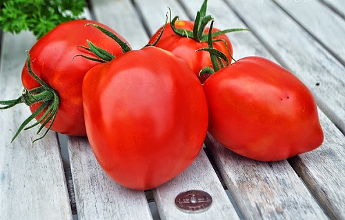 Large Roma Tomato Varieties 2