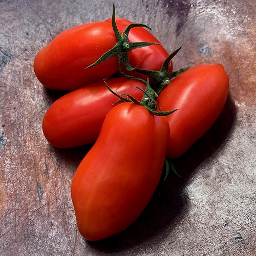 Large Roma Tomato Varieties 4